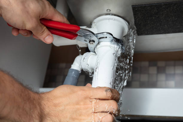Best Water damage restoration specialists  in Wollochet, WA