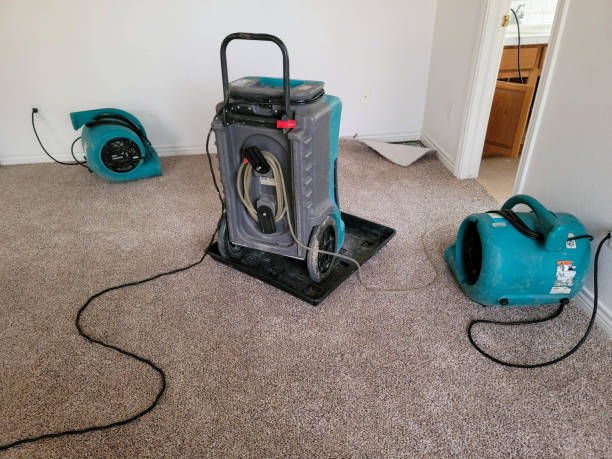 Best Water damage restoration experts  in Wollochet, WA