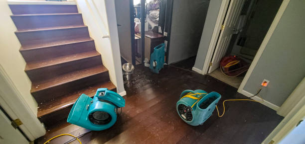 Best Sewage cleanup and water damage restoration  in Wollochet, WA