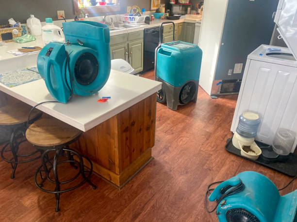 Best Carpet water damage restoration  in Wollochet, WA