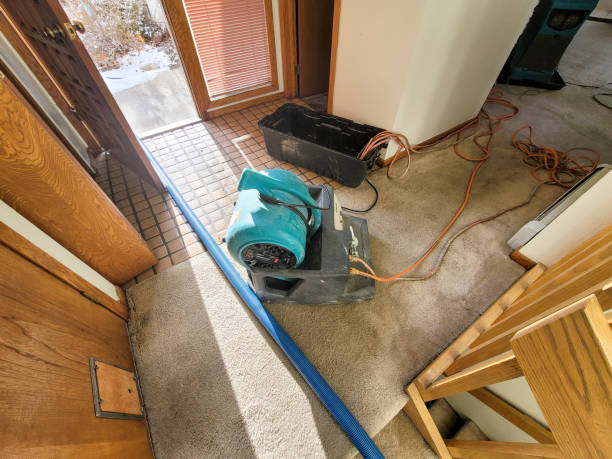 Best Water damage restoration near me  in Wollochet, WA