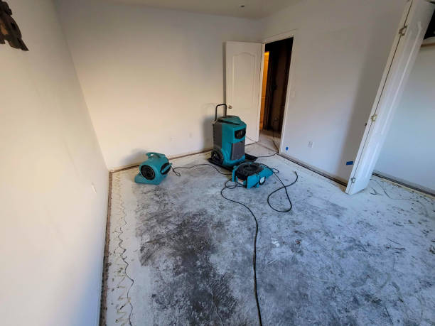 Best Commercial water damage restoration  in Wollochet, WA