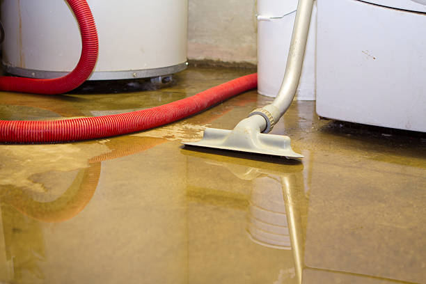  Wollochet, WA Water damage restoration Pros