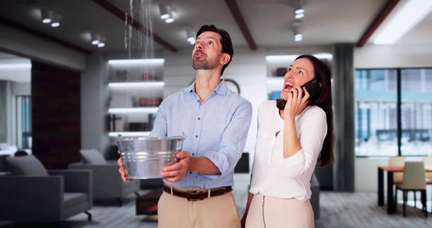 Best Water damage restoration services  in Wollochet, WA